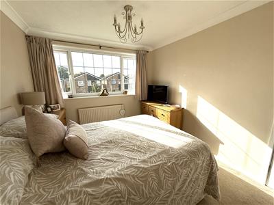 Picture 20